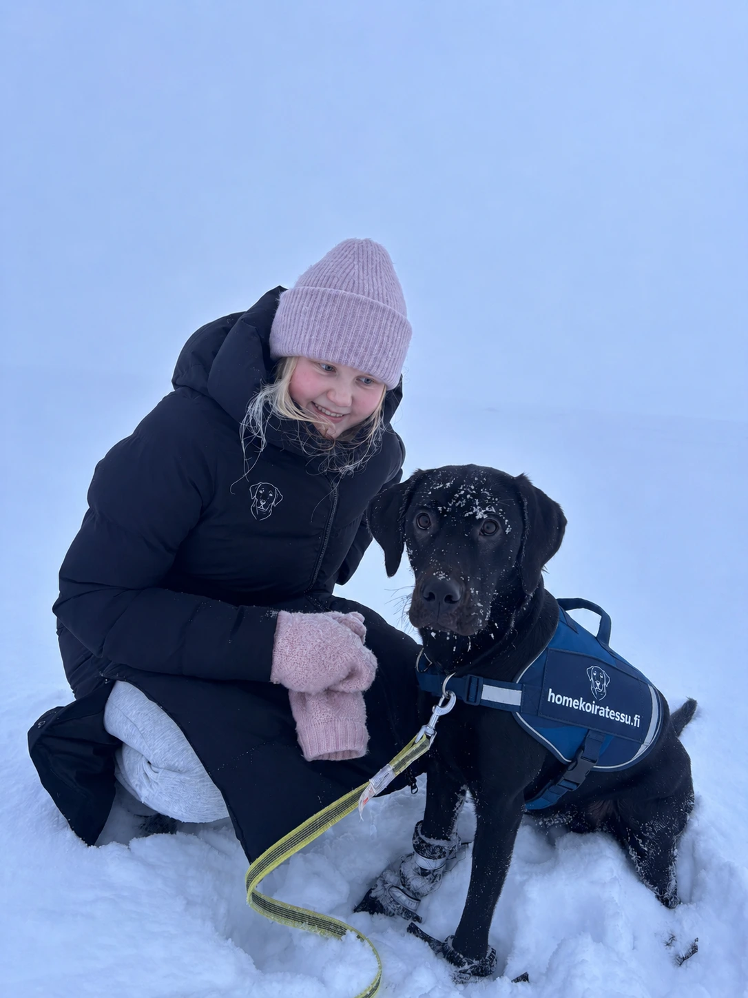 homekoiratessu ja ohjaaja
